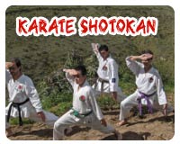 karate Shotokan