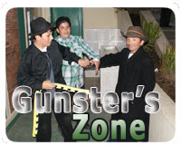 Gunster's Zone